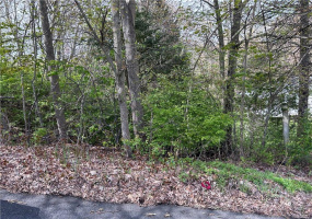 0 Saugus Avenue, Watertown, Connecticut 06795, ,Lots And Land For Sale,For Sale,Saugus,170584048