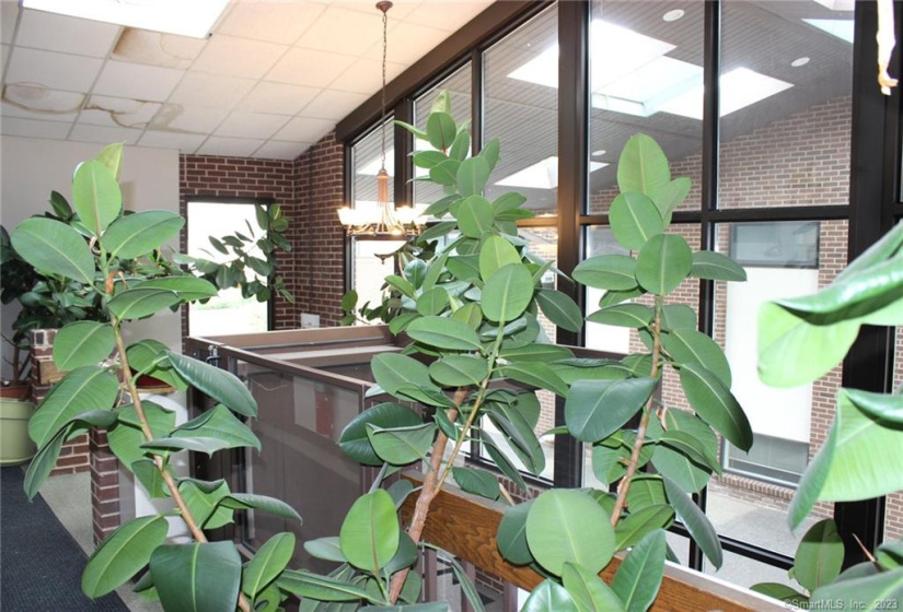 2447 Whitney Avenue, Hamden, Connecticut 06518, ,Commercial For Lease,For Sale,Whitney,170584322