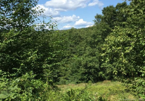 Lot Davenport Road, Roxbury, Connecticut 06783, ,Lots And Land For Sale,For Sale,Davenport,170120219