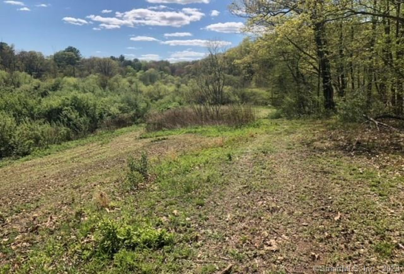 2747 Durham, Guilford, Connecticut 06437, ,Lots And Land For Sale,For Sale,Durham,170569768