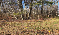 262 Route 81, Killingworth, Connecticut 06419, ,Lots And Land For Sale,For Sale,Route 81,170244156