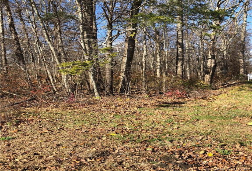 262 Route 81, Killingworth, Connecticut 06419, ,Lots And Land For Sale,For Sale,Route 81,170244156