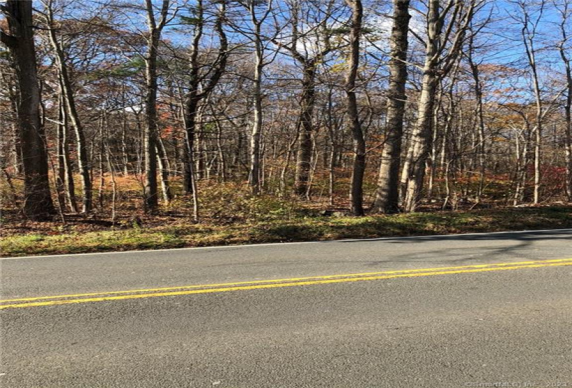 262 Route 81, Killingworth, Connecticut 06419, ,Lots And Land For Sale,For Sale,Route 81,170244156
