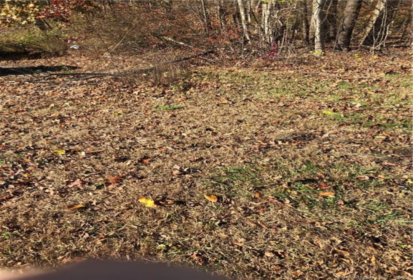 262 Route 81, Killingworth, Connecticut 06419, ,Lots And Land For Sale,For Sale,Route 81,170244156