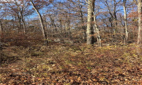 262 Route 81, Killingworth, Connecticut 06419, ,Lots And Land For Sale,For Sale,Route 81,170244156