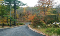 Lot 002 Newfield and Barbaret Road, Torrington, Connecticut 06790, ,Lots And Land For Sale,For Sale,Newfield and Barbaret,170539528