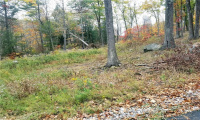 Lot 002 Newfield and Barbaret Road, Torrington, Connecticut 06790, ,Lots And Land For Sale,For Sale,Newfield and Barbaret,170539528