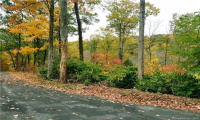 Lot 002 Newfield and Barbaret Road, Torrington, Connecticut 06790, ,Lots And Land For Sale,For Sale,Newfield and Barbaret,170539528