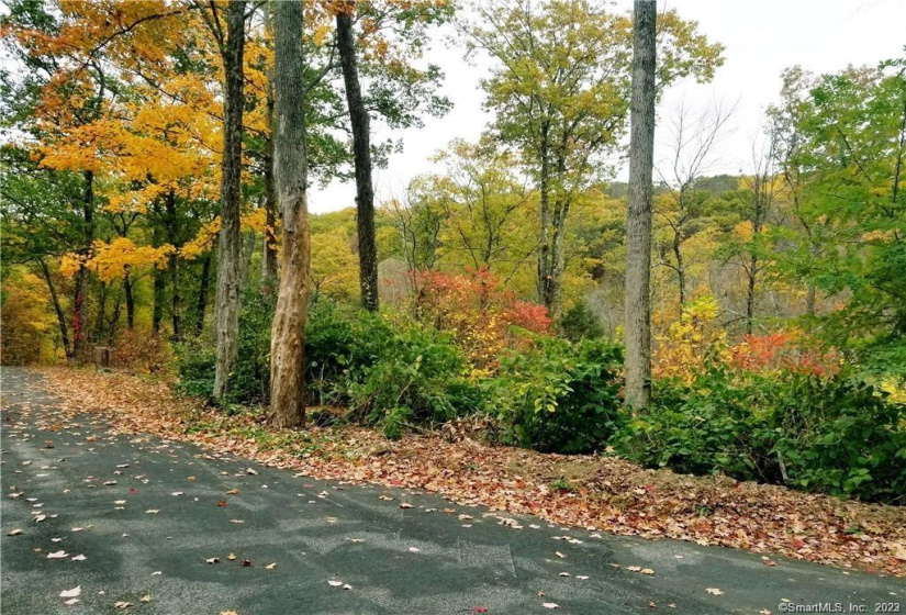 Lot 002 Newfield and Barbaret Road, Torrington, Connecticut 06790, ,Lots And Land For Sale,For Sale,Newfield and Barbaret,170539528