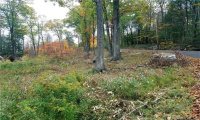 Lot 002 Newfield and Barbaret Road, Torrington, Connecticut 06790, ,Lots And Land For Sale,For Sale,Newfield and Barbaret,170539528