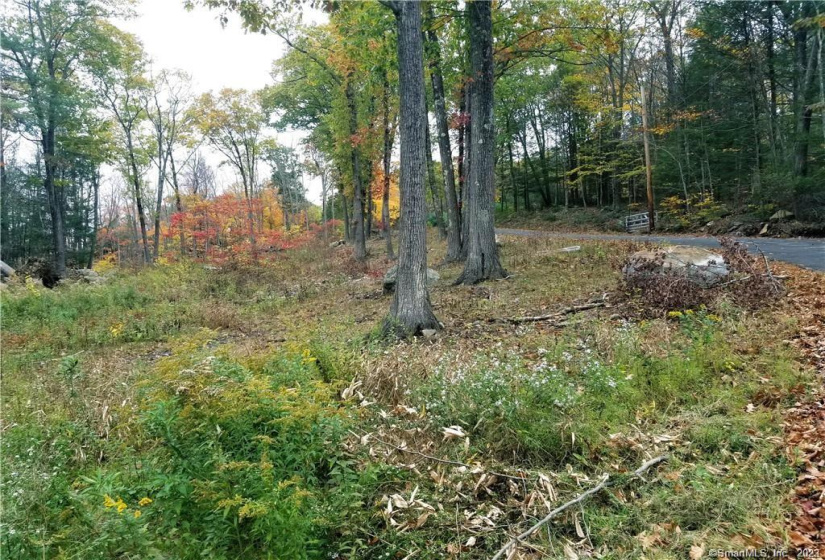 Lot 002 Newfield and Barbaret Road, Torrington, Connecticut 06790, ,Lots And Land For Sale,For Sale,Newfield and Barbaret,170539528