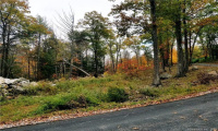 Lot 002 Newfield and Barbaret Road, Torrington, Connecticut 06790, ,Lots And Land For Sale,For Sale,Newfield and Barbaret,170539528