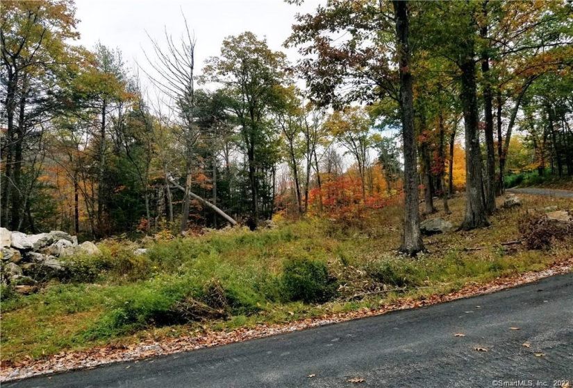Lot 002 Newfield and Barbaret Road, Torrington, Connecticut 06790, ,Lots And Land For Sale,For Sale,Newfield and Barbaret,170539528