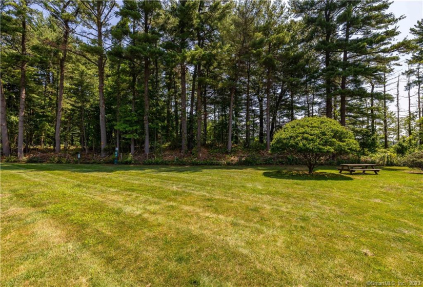 365 Mather Street, Hamden, Connecticut 06518, 1 Bedroom Bedrooms, 1 Room Rooms,1 BathroomBathrooms,Residential Rental,For Sale,Mather,170592373