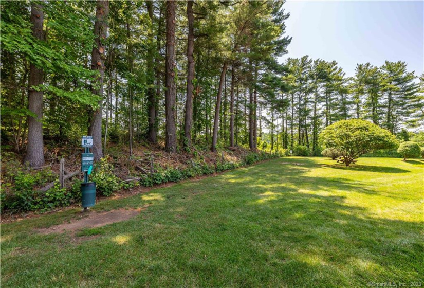 365 Mather Street, Hamden, Connecticut 06518, 1 Bedroom Bedrooms, 1 Room Rooms,1 BathroomBathrooms,Residential Rental,For Sale,Mather,170592373
