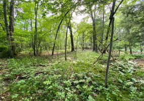 68 Scoville Road, Avon, Connecticut 06001, ,Lots And Land For Sale,For Sale,Scoville,170414187