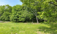 0 Sunnyside Avenue, Watertown, Connecticut 06779, ,Lots And Land For Sale,For Sale,Sunnyside,170571896