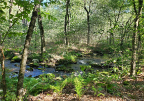 15 Old Toll Road, Madison, Connecticut 06443, ,Lots And Land For Sale,For Sale,Old Toll,170598687