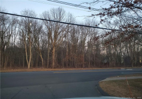 1134 Blue Hills Avenue, Bloomfield, Connecticut 06002, ,Lots And Land For Sale,For Sale,Blue Hills,170599458