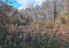 366 Hartford Turnpike, Hampton, Connecticut 06247, ,Lots And Land For Sale,For Sale,Hartford,170351297