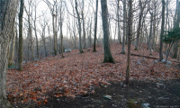 0 Wildwood Road, Stamford, Connecticut 06903, ,Lots And Land For Sale,For Sale,Wildwood,170356352