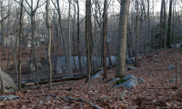 0 Wildwood Road, Stamford, Connecticut 06903, ,Lots And Land For Sale,For Sale,Wildwood,170356352