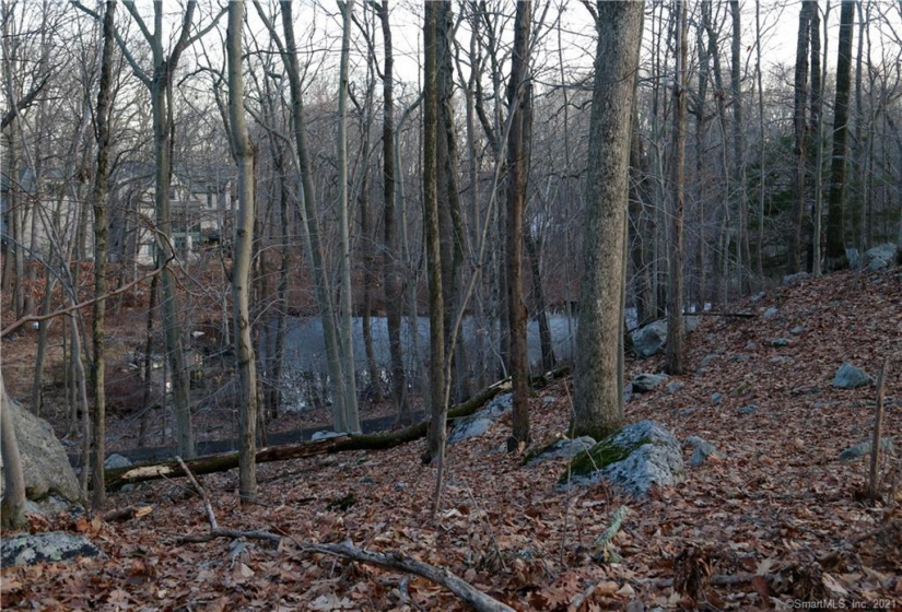 0 Wildwood Road, Stamford, Connecticut 06903, ,Lots And Land For Sale,For Sale,Wildwood,170356352
