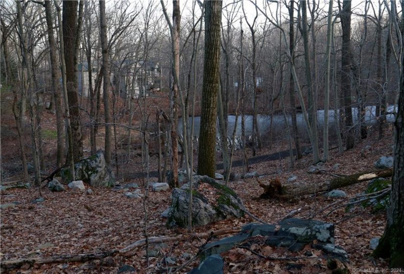 0 Wildwood Road, Stamford, Connecticut 06903, ,Lots And Land For Sale,For Sale,Wildwood,170356352