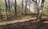 39 Brick School Road, Warren, Connecticut 06754, ,Lots And Land For Sale,For Sale,Brick School,170356577