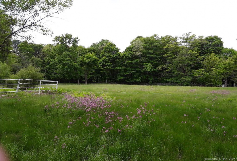 39 Brick School Road, Warren, Connecticut 06754, ,Lots And Land For Sale,For Sale,Brick School,170356577