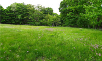 39 Brick School Road, Warren, Connecticut 06754, ,Lots And Land For Sale,For Sale,Brick School,170356577