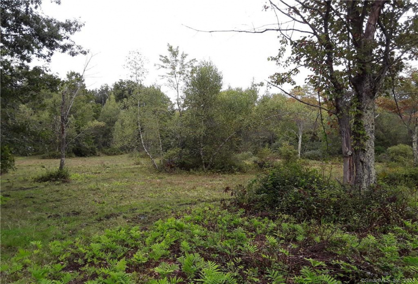 39 Brick School Road, Warren, Connecticut 06754, ,Lots And Land For Sale,For Sale,Brick School,170356577
