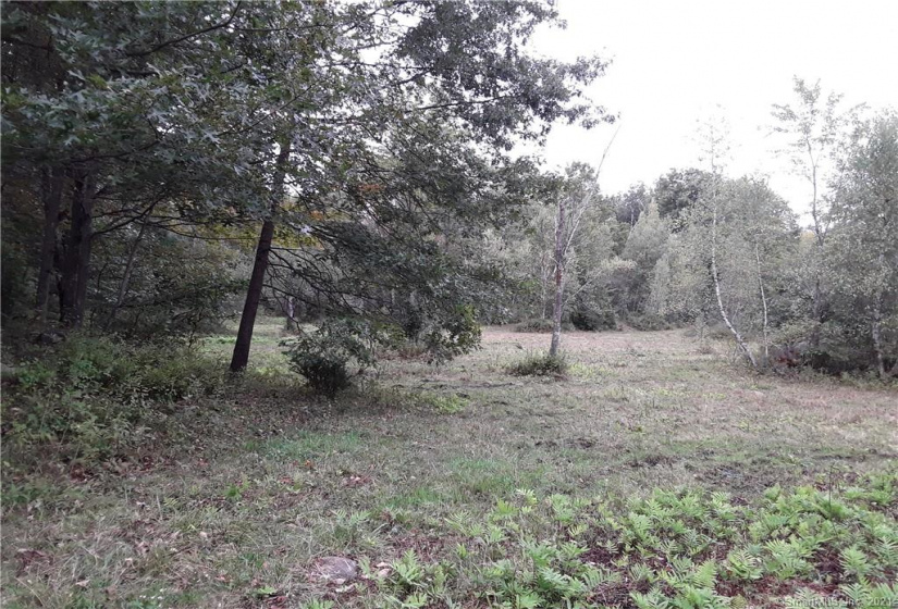 39 Brick School Road, Warren, Connecticut 06754, ,Lots And Land For Sale,For Sale,Brick School,170356577