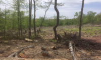 24 Handel Road, Stafford, Connecticut 06076, ,Lots And Land For Sale,For Sale,Handel,170362647