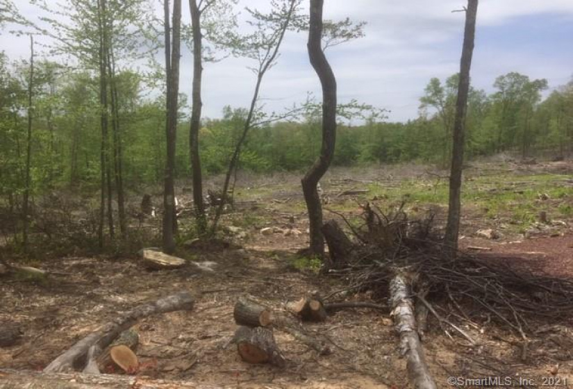 24 Handel Road, Stafford, Connecticut 06076, ,Lots And Land For Sale,For Sale,Handel,170362647