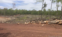 24 Handel Road, Stafford, Connecticut 06076, ,Lots And Land For Sale,For Sale,Handel,170362647