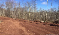 24 Handel Road, Stafford, Connecticut 06076, ,Lots And Land For Sale,For Sale,Handel,170362647