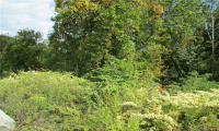 00 Prospect Street, Naugatuck, Connecticut 06770, ,Lots And Land For Sale,For Sale,Prospect,170367408