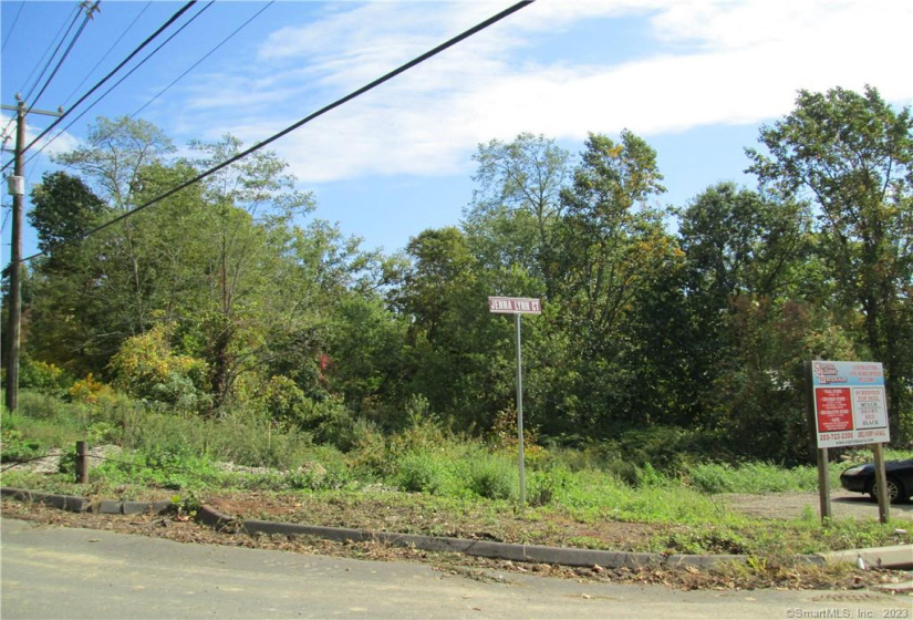 00 Prospect Street, Naugatuck, Connecticut 06770, ,Lots And Land For Sale,For Sale,Prospect,170367408