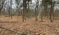 214 River Road, Willington, Connecticut 06279, ,Lots And Land For Sale,For Sale,River,G10080291