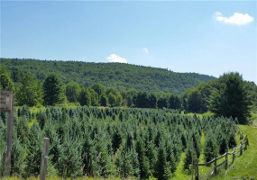 99 Old Yellow Mountain Road, New Hartford, Connecticut 06057, ,Lots And Land For Sale,For Sale,Old Yellow Mountain,170426937