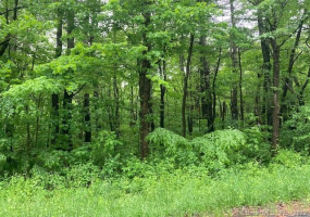 999 Turkey Hollow Lane, Goshen, Connecticut 06756, ,Lots And Land For Sale,For Sale,Turkey Hollow,170409711