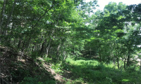 410 Old Jewett City Road, Preston, Connecticut 06365, ,Lots And Land For Sale,For Sale,Old Jewett City,170412318