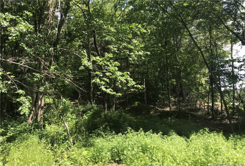 410 Old Jewett City Road, Preston, Connecticut 06365, ,Lots And Land For Sale,For Sale,Old Jewett City,170412318