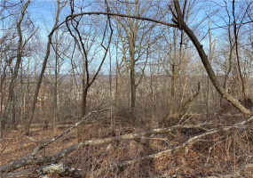 0 Andrew Mountain Road, Naugatuck, Connecticut 06770, ,Lots And Land For Sale,For Sale,Andrew Mountain,170384052