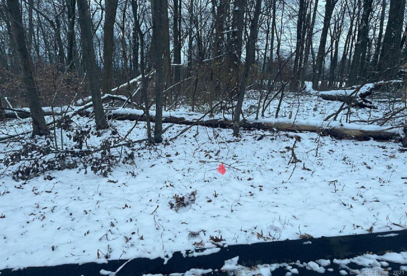 21 Rushleigh Road, West Hartford, Connecticut 06117, ,Lots And Land For Sale,For Sale,Rushleigh,170458697